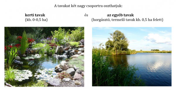 tavak_csop_01