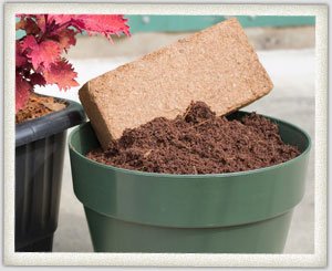 cocopeat-001