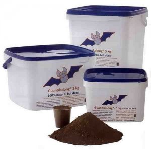 guanokalong_powder