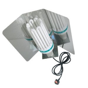 41Gy17xa1-L._SL500_AA300_